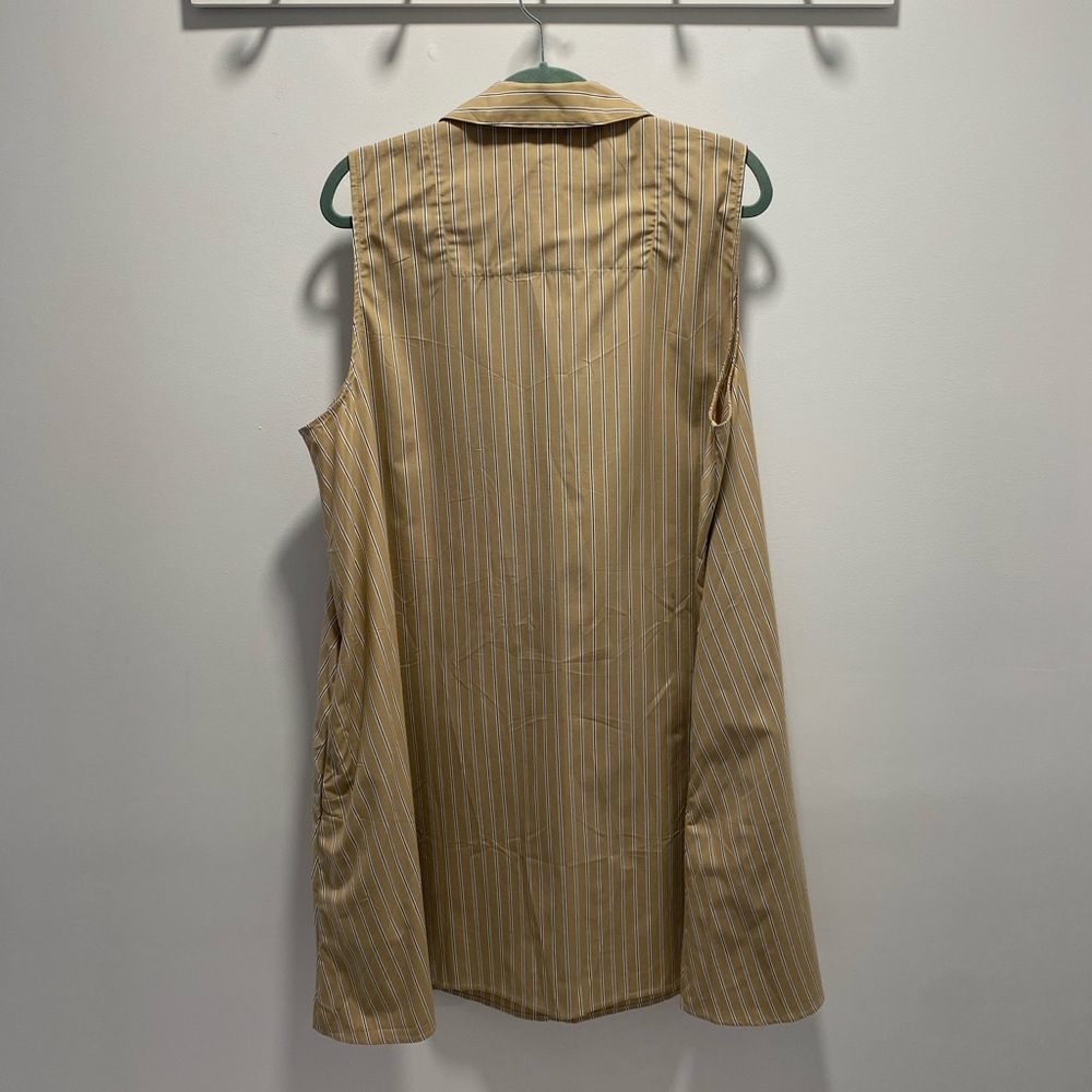 Banana Republic Tan Striped Sleeveless Dress - Picture 4 of 5